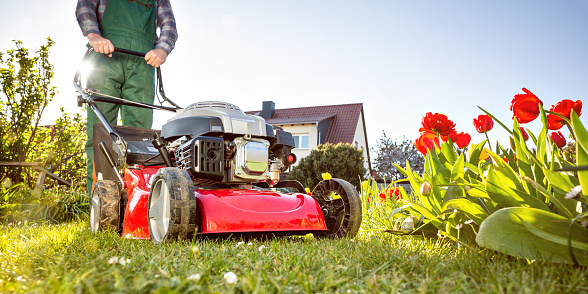 Lawn mower in a garden with green grass and red flowers. Sunny spring time weather.