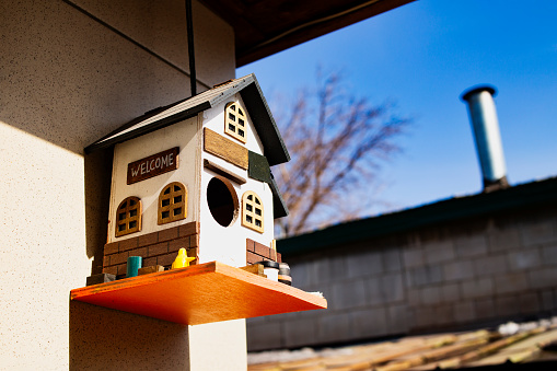 Wooden bird house, feeding place. Hanging tree house. High quality photo