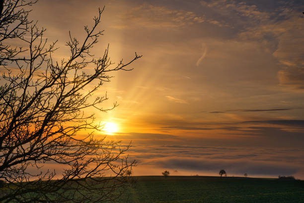 istock sonset in the fog 1312144727