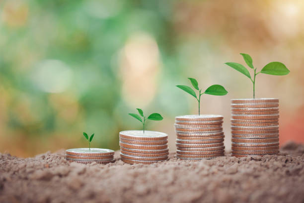 istock Step of coins stacking and tree growing top on soil, saving money concept, home, loan, education and plan for future isolated on bokeh background. 1312145486