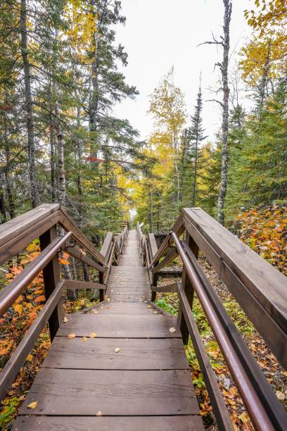 istock Wooden stairway at Split Rock Lighthouse State Park in Minnesota 1312148060