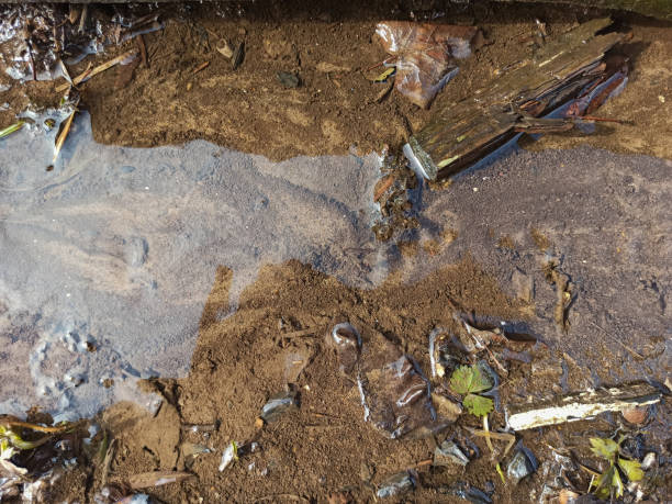 istock Melt water on the ground in spring 1312148173