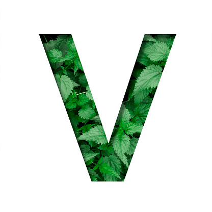 Font made of leaves, letter V, cut out of paper on a background of natural green nettle. Fresh young natural leaf volumetric Earth day font set.