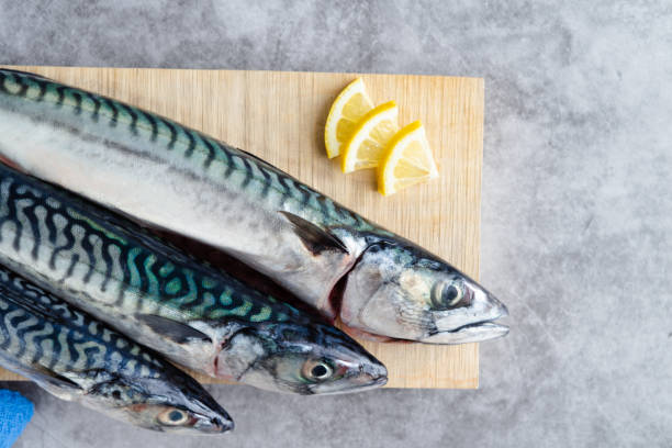 istock Mackerel on wooden background on marble background. Copy space. 1312151205
