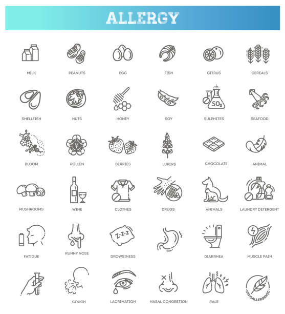 ilustraciones, imágenes clip art, dibujos animados e iconos de stock de vectores establecer iconos de línea de alergia. comida y polen - allergy food peanut pollen