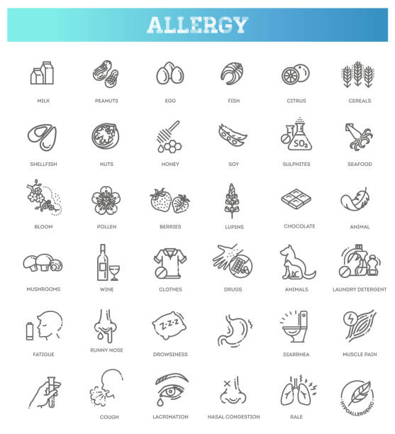ilustrações de stock, clip art, desenhos animados e ícones de vector set line icons of allergy. food and pollen - allergy food peanut pollen
