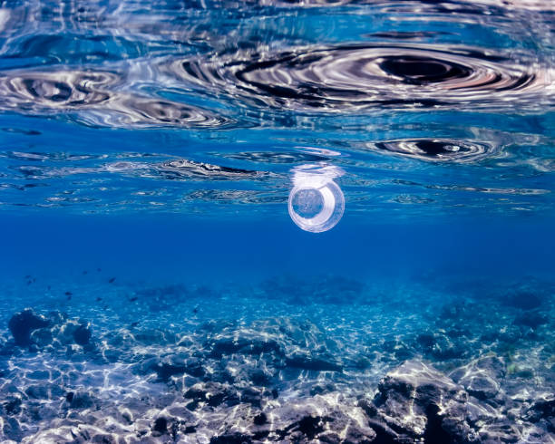 istock Disposable plastic cup floating in blue sea. 1312153338