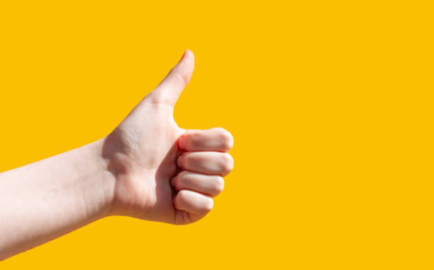 istock Close-up on a yellow background, the hand shows a thumbs up. Like it 1312153401