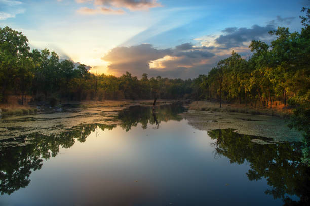 istock Sunset over the lake in the forest. Selective focus. 1312153545