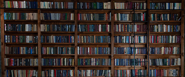 Bookshelves in the library. Large bookcase with lots of old books. Reading books. Library or shop with bookcases. Cozy book background.