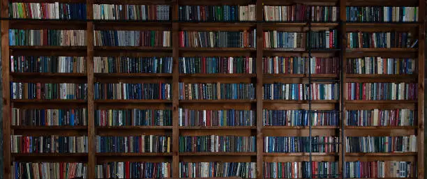 Photo of Bookshelves in the library. Large bookcase with lots of books. Reading books. Library or shop with bookcases. Cozy book background. Bookish, bookstore, bookshop