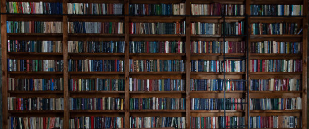 kütüphanede kitaplıklar var. bir sürü kitap içeren büyük kitaplık. kitap okuyorum. kitaplıklarla kütüphane veya mağaza. rahat kitap arka planı. kitapçı, kitapçı, kitapçı - library stok fotoğraflar ve resimler