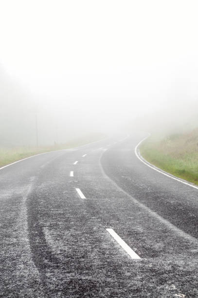 istock Country road in fog 1312156515