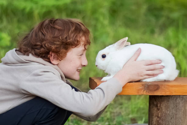 istock A boy 11-13 with his pet white rabbit outdoors 1312160361