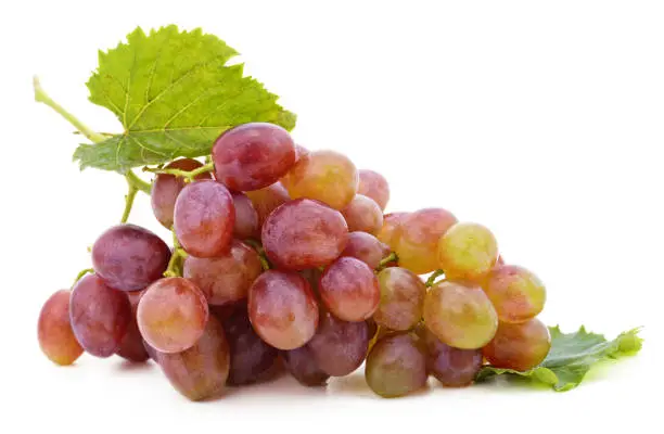 Photo of One bunch of red grapes.