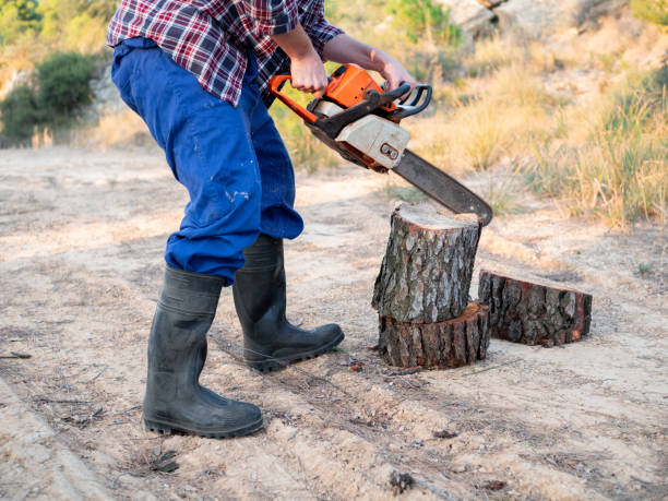 young caucasian man with beard cutting wood with chainsaw