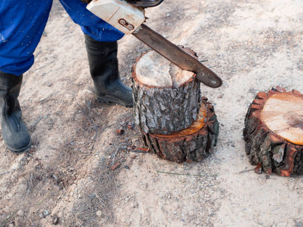istock young caucasian man with beard cutting wood with chainsaw 1312162396