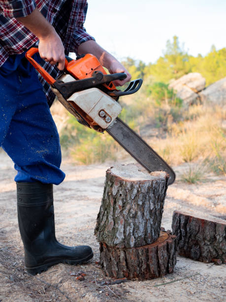 istock young caucasian man with beard cutting wood with chainsaw 1312162416
