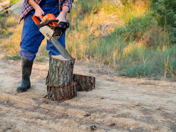 istock young caucasian man with beard cutting wood with chainsaw 1312162418