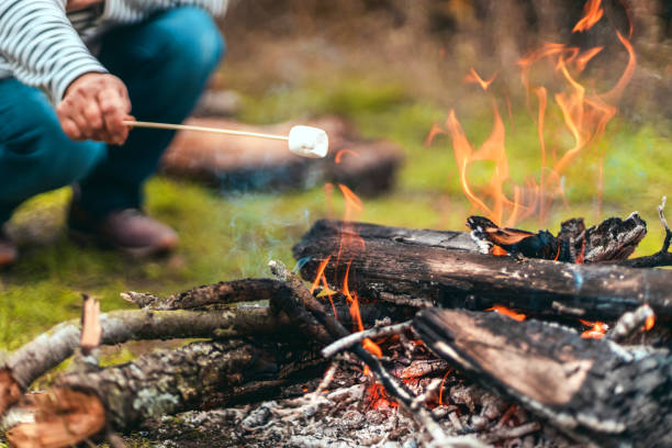 istock Marshmallow on a stick being roasted over a camping fire 1312163302
