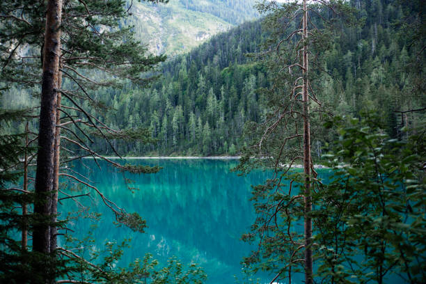 istock blue-turquoise mountain lake in the Austrian Alps 1312164003