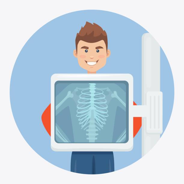 人体をスキャンするためのx線装置です。胸骨のレントゲン。手術のための健康診断。ベクトルの図 - human spine anatomy x ray the human body点のイラスト素材／クリップアート素材／マンガ素材／アイコン素材