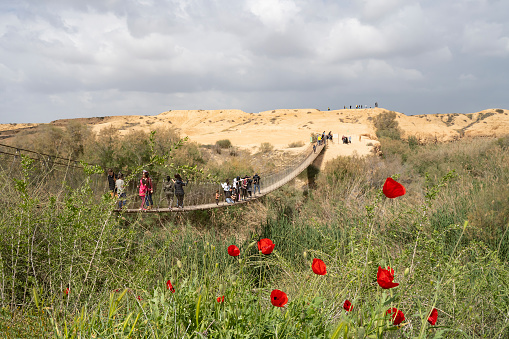 Habesor region, Israel - March 12th, 2021: Tourists on Habesor bridge, Israel, and on on the sandy hills around it, on an overcast day. Poppies blossom in the foreground.