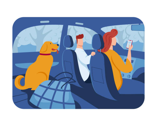 Trip out town, convenient transportation, experienced car driver, favorite pet, family travel, cartoon style vector illustration. Trip out town, convenient transportation, experienced car driver, favorite pet, family travel, cartoon style vector illustration. Husband and wife ride automobile, luggage and dog cabin in back seat. family vacation car stock illustrations