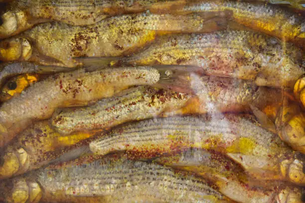 Photo of Fermented fish at Aswan Market, Egypt