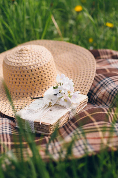 istock Hat and a book lie on a blanket during a picnic 1312171028