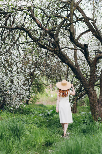 istock Red-haired girl walks in a spring blooming apple orchard 1312171048