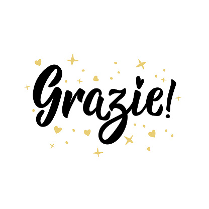 Translation From Italian Thank You Vector Illustration Lettering Ink ...