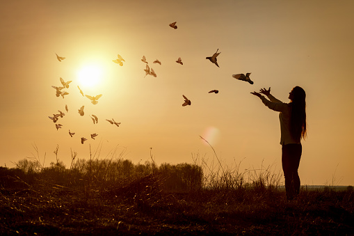 Hope faith concept. Woman launches doves on the background of a sunny sunset.