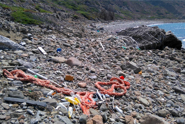 istock Microplastics pollution, environmental pollution, sea coast waste, ecology 1312175147