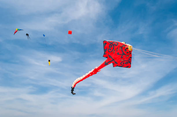 istock Red kite in the blue sky, Thailand. 1312177079