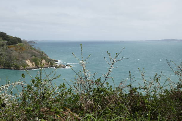 istock Seascape in guernsey 1312178254