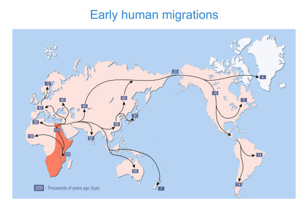 Early human migrations. Map of the spread of humans around the world. Early human migrations. Map of the spread of humans around the world. archaic and modern humans across continents. Vector illustration paleo stock illustrations