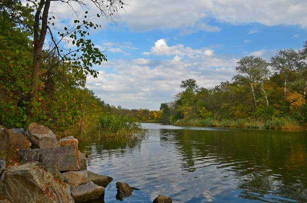 istock Autumn cold river in the forest 1312179643
