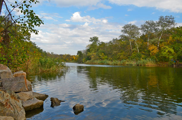 istock Autumn cold river in the forest 1312179704