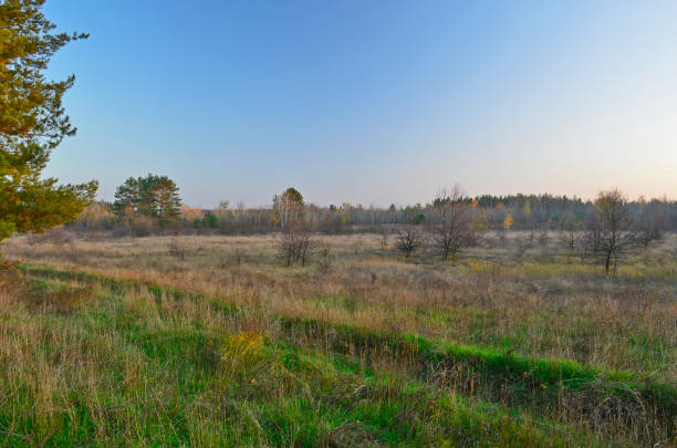 istock Autumn countryside landscape. 1312179850