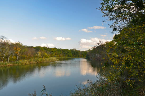 istock Autumn cold river in the forest 1312180438