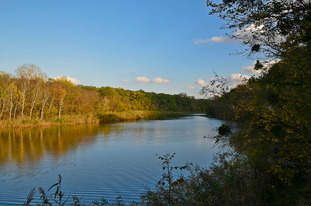 istock Autumn cold river in the forest 1312180467