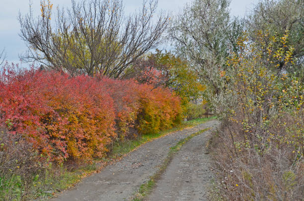istock Autumn countryside landscape. 1312180575
