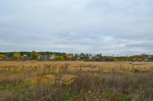 istock Autumn countryside landscape. 1312180597