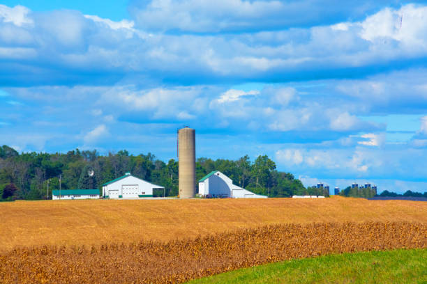 istock Grain Field with barn in the background-Howard County, Indiana 1312180933