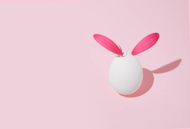 istock White easter egg with magenta petals on pastel pink background. Minimal artistic card idea. 1312180985