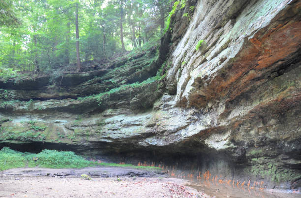 istock Limestone Canyon-Turkey Run, Indiana 1312181529