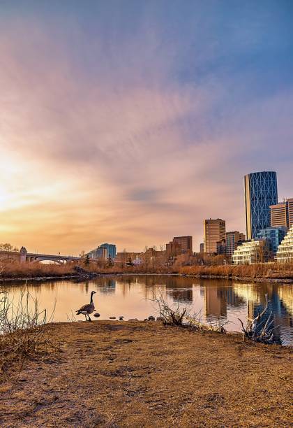 istock Sunrise Sky Shining Down Over A Spring Lake 1312184955