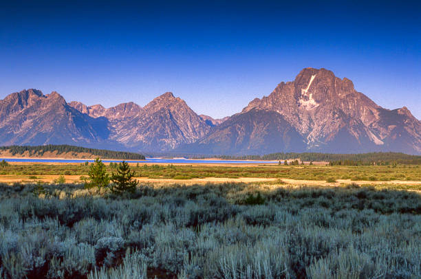 vue scénique du mont moran dans la chaîne de montagnes de grand teton - monts wyoming photos photos et images de collection