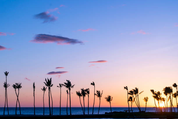 Tropical sunset